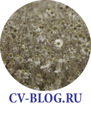 Заметки Computer Vision инженера Заметки Computer Vision инженера